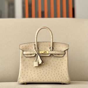 Birkin 25 Ostrich Trench(S2)Gold Hardware