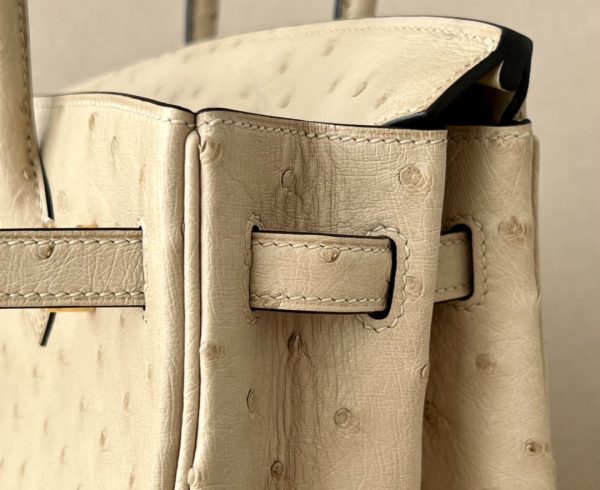 Birkin 25 Ostrich Trench(S2)Gold Hardware - Image 2