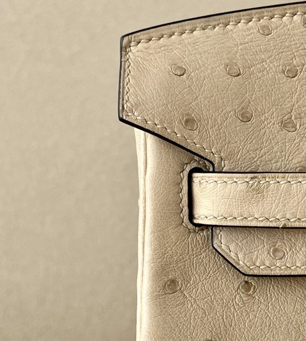 Birkin 25 Ostrich Trench(S2)Gold Hardware - Image 9