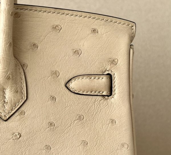 Birkin 25 Ostrich Trench(S2)Gold Hardware - Image 8