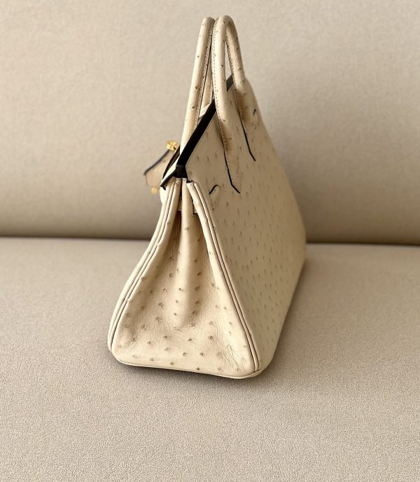 Birkin 25 Ostrich Trench(S2)Gold Hardware - Image 7