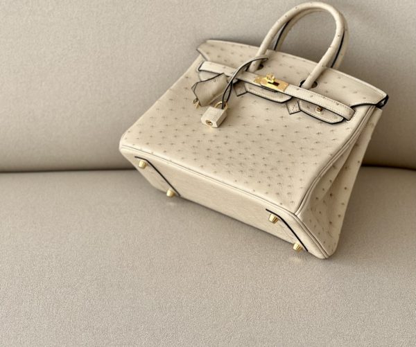 Birkin 25 Ostrich Trench(S2)Gold Hardware - Image 6