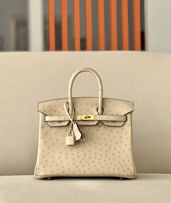 Birkin 25 Ostrich Trench(S2)Gold Hardware - Image 5