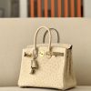 Birkin 25 Ostrich Trench(S2)Gold Hardware - Image 4