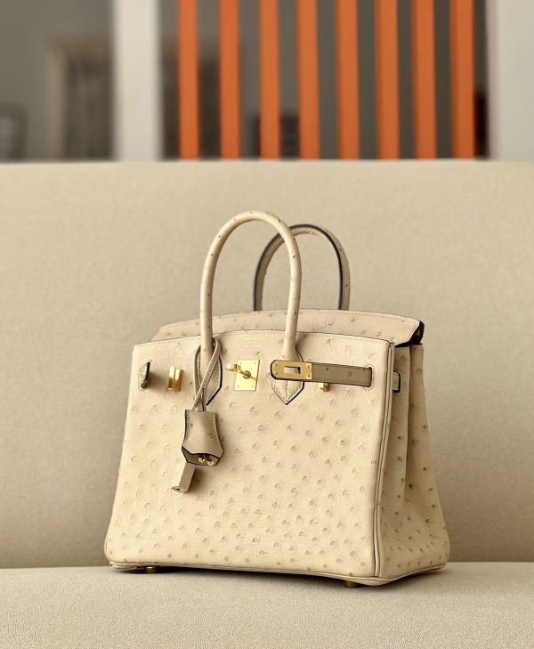 Birkin 25 Ostrich Trench(S2)Gold Hardware - Image 4