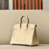 Birkin 25 Ostrich Trench(S2)Gold Hardware - Image 3