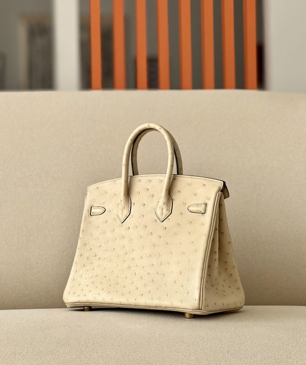 Birkin 25 Ostrich Trench(S2)Gold Hardware - Image 3