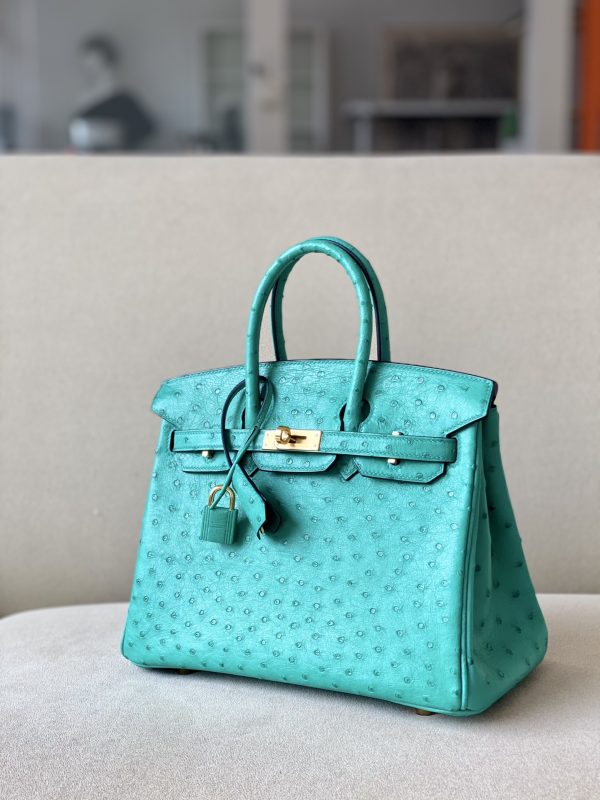 Birkin 25 Ostrich Vert Jade(O6)Gold Hardware