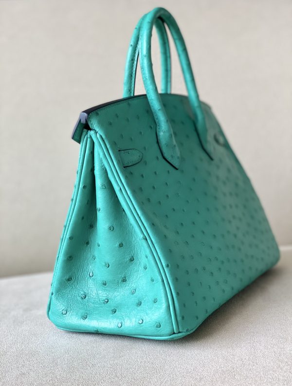 Birkin 25 Ostrich Vert Jade(O6)Gold Hardware - Image 4