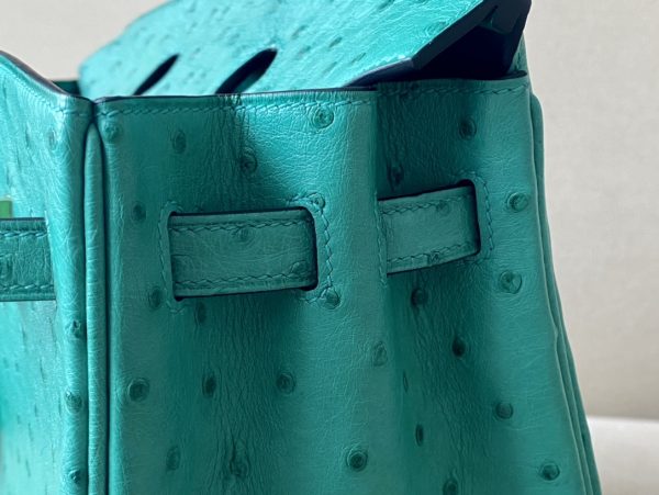 Birkin 25 Ostrich Vert Jade(O6)Gold Hardware - Image 9