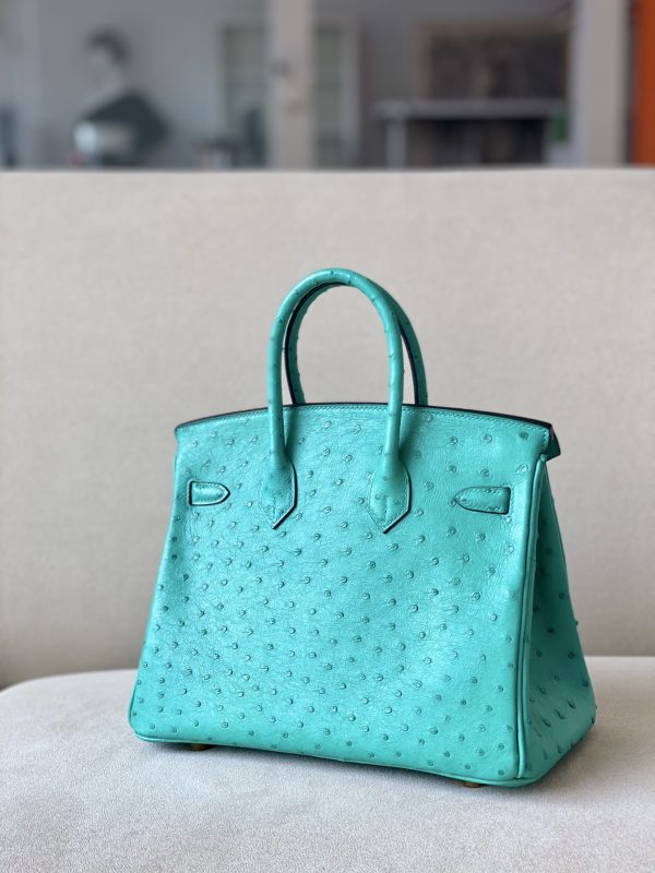 Birkin 25 Ostrich Vert Jade(O6)Gold Hardware - Image 3