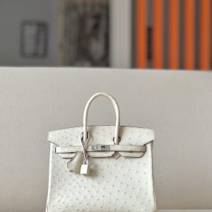 Birkin 25 Ostrich Parchemin(3C) Palladium Hardware