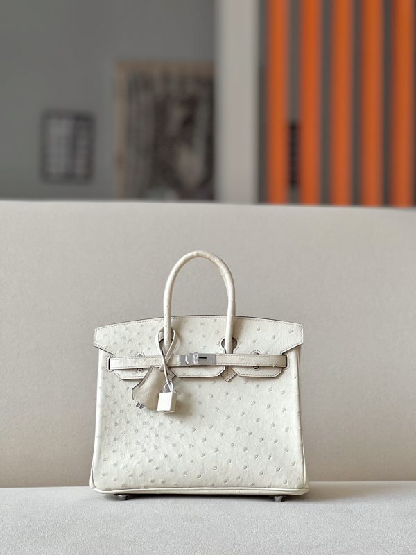 Birkin 25 Ostrich Parchemin(3C) Palladium Hardware