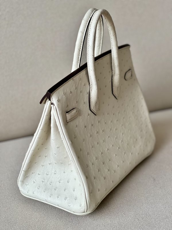 Birkin 25 Ostrich Parchemin(3C) Palladium Hardware - Image 4