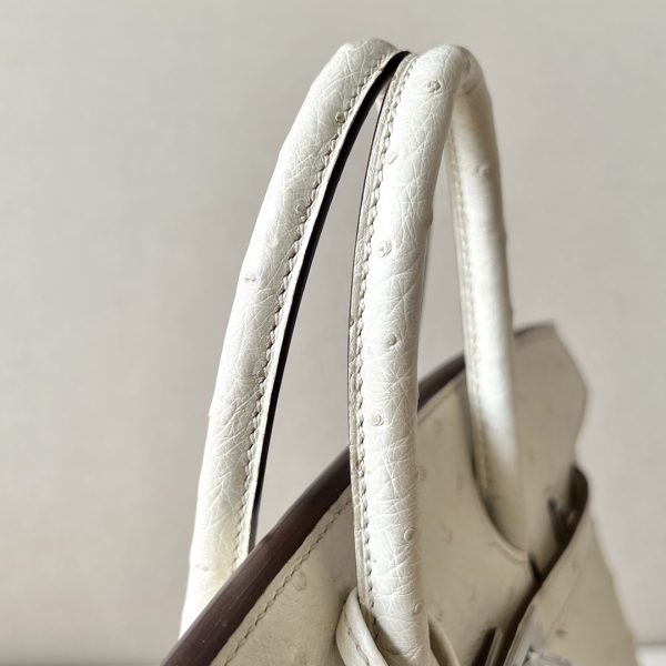 Birkin 25 Ostrich Parchemin(3C) Palladium Hardware - Image 5