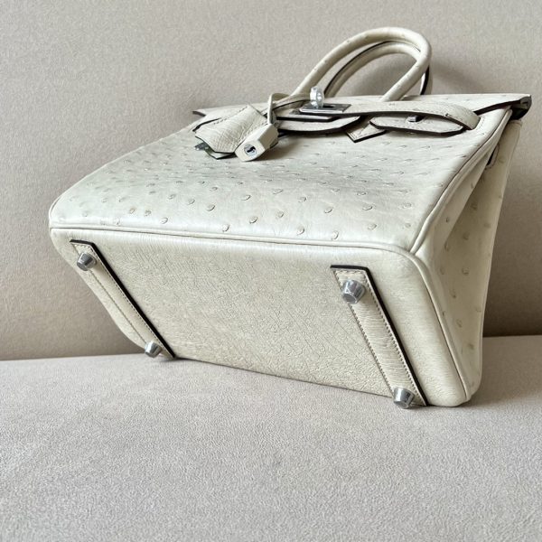 Birkin 25 Ostrich Parchemin(3C) Palladium Hardware - Image 6