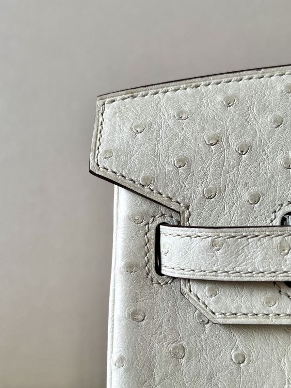 Birkin 25 Ostrich Parchemin(3C) Palladium Hardware - Image 7