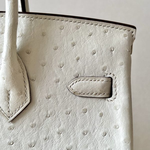 Birkin 25 Ostrich Parchemin(3C) Palladium Hardware - Image 8