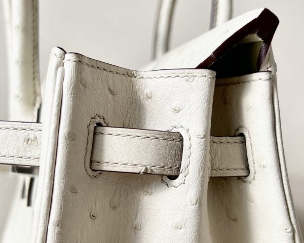 Birkin 25 Ostrich Parchemin(3C) Palladium Hardware - Image 10