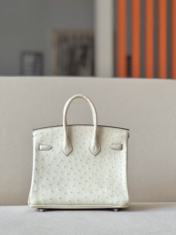 Birkin 25 Ostrich Parchemin(3C) Palladium Hardware - Image 2