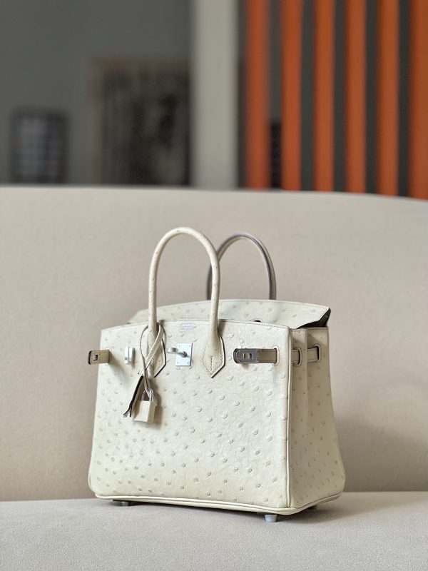 Birkin 25 Ostrich Parchemin(3C) Palladium Hardware - Image 3