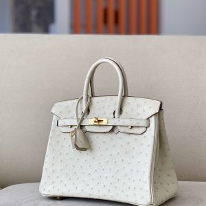 Birkin 25 Ostrich Parchemin(3C) Gold Hardware