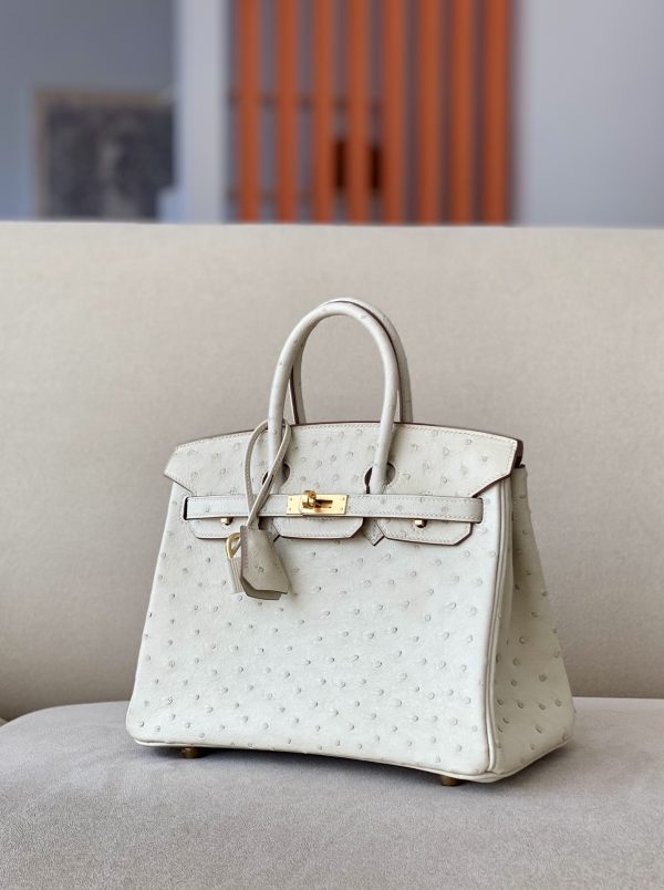 Birkin 25 Ostrich Parchemin(3C) Gold Hardware