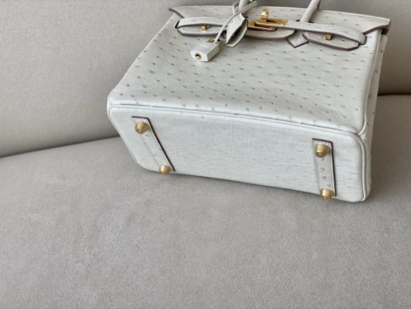 Birkin 25 Ostrich Parchemin(3C) Gold Hardware - Image 5