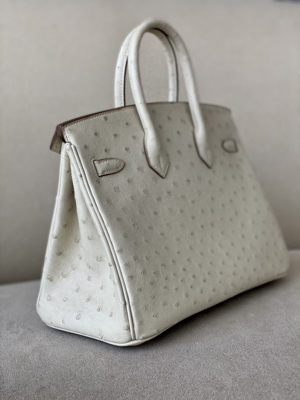 Birkin 25 Ostrich Parchemin(3C) Gold Hardware - Image 4