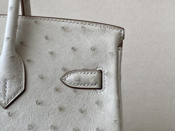 Birkin 25 Ostrich Parchemin(3C) Gold Hardware - Image 6