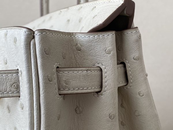Birkin 25 Ostrich Parchemin(3C) Gold Hardware - Image 8