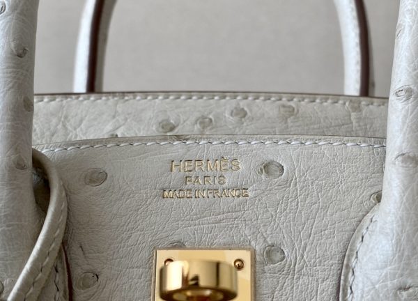 Birkin 25 Ostrich Parchemin(3C) Gold Hardware - Image 9