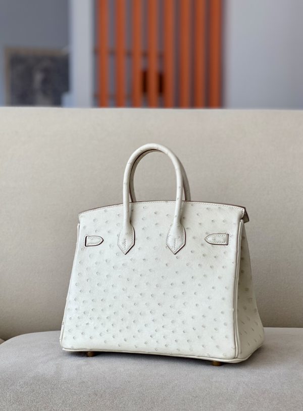 Birkin 25 Ostrich Parchemin(3C) Gold Hardware - Image 3