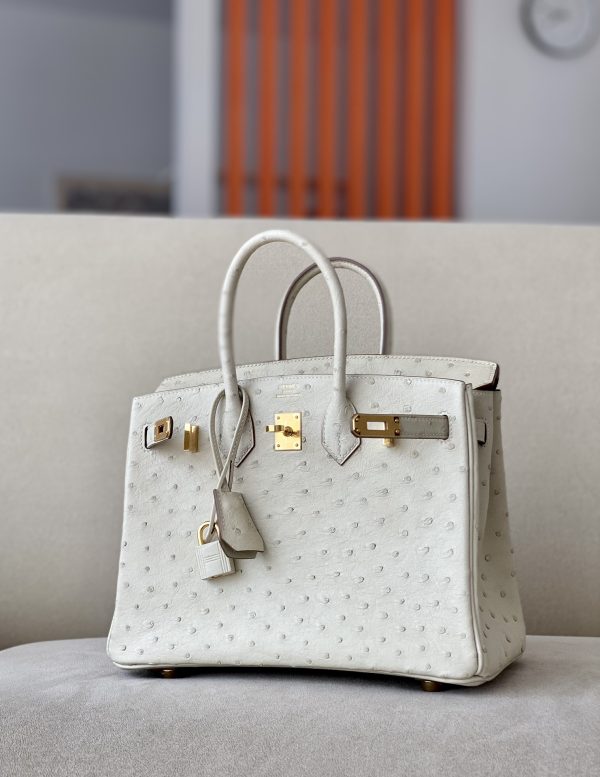 Birkin 25 Ostrich Parchemin(3C) Gold Hardware - Image 2
