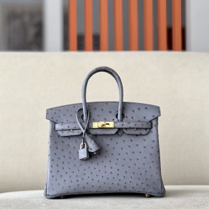 Birkin 25 Ostrich Gris Agate(82) Gold Hardware