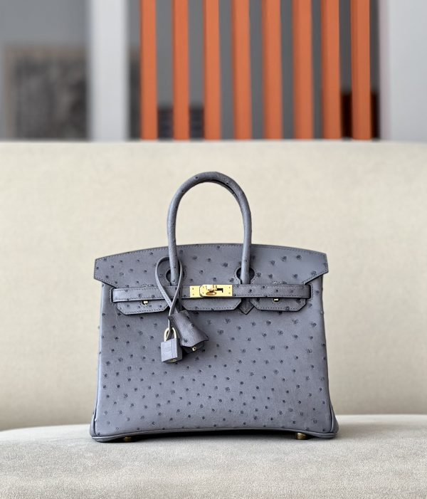 Birkin 25 Ostrich Gris Agate(82) Gold Hardware