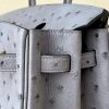 Birkin 25 Ostrich Gris Agate(82) Gold Hardware - Image 11