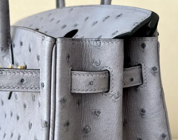 Birkin 25 Ostrich Gris Agate(82) Gold Hardware - Image 11