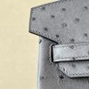 Birkin 25 Ostrich Gris Agate(82) Gold Hardware - Image 7