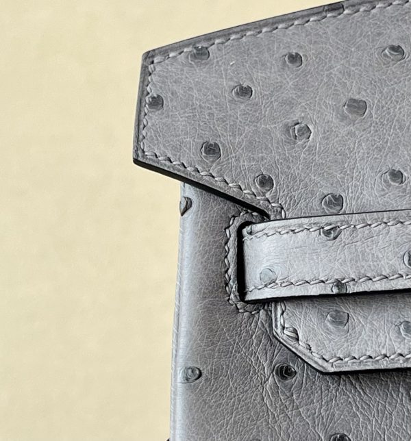 Birkin 25 Ostrich Gris Agate(82) Gold Hardware - Image 7