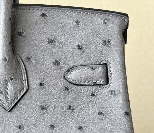 Birkin 25 Ostrich Gris Agate(82) Gold Hardware - Image 6