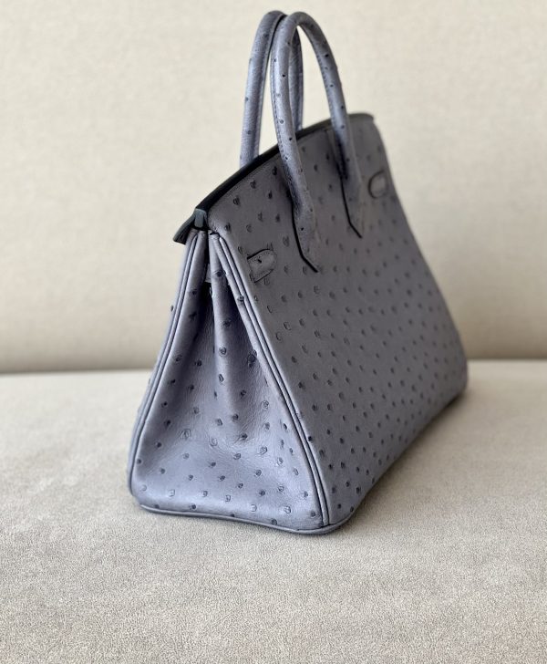 Birkin 25 Ostrich Gris Agate(82) Gold Hardware - Image 5