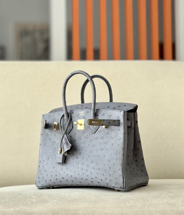 Birkin 25 Ostrich Gris Agate(82) Gold Hardware - Image 3