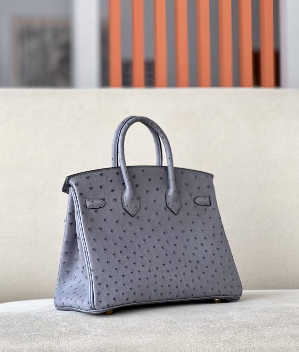 Birkin 25 Ostrich Gris Agate(82) Gold Hardware - Image 2