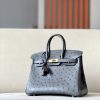 Birkin 25 Ostrich Etain(8F) Gold Hardware