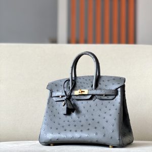 Birkin 25 Ostrich Etain(8F) Gold Hardware
