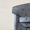 Birkin 25 Ostrich Etain(8F) Gold Hardware - Image 10