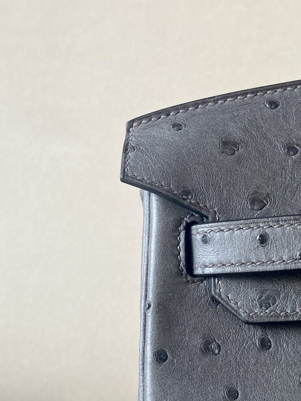 Birkin 25 Ostrich Etain(8F) Gold Hardware - Image 10