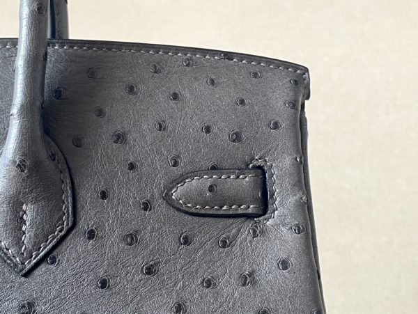 Birkin 25 Ostrich Etain(8F) Gold Hardware - Image 9