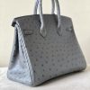 Birkin 25 Ostrich Etain(8F) Gold Hardware - Image 5